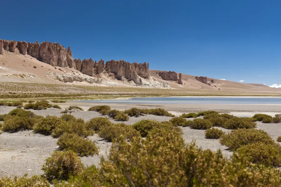 Avila Reizen Chili Alto Atacama Tara 001
