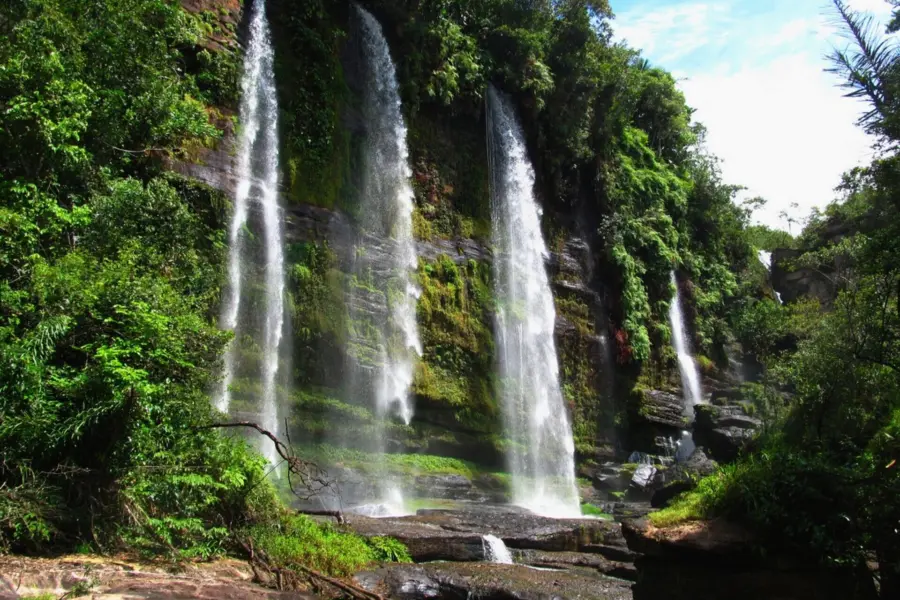 Avila Reizen Colombia Caño Canoas la Macarena Colombia