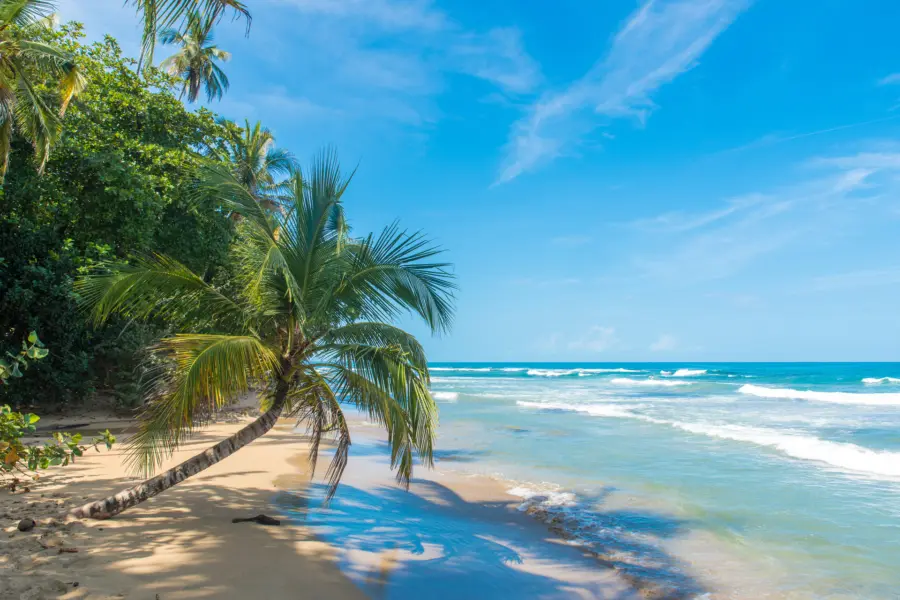 Avila Reizen Costa Rica beach sun