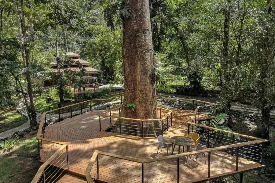 Avila Reizen Costa Rica Pacuare Lodge loopplatform