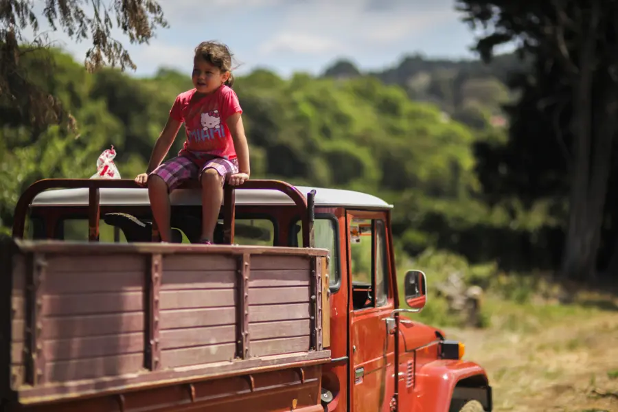 Avila Reizen Costa Rica koffie oogst