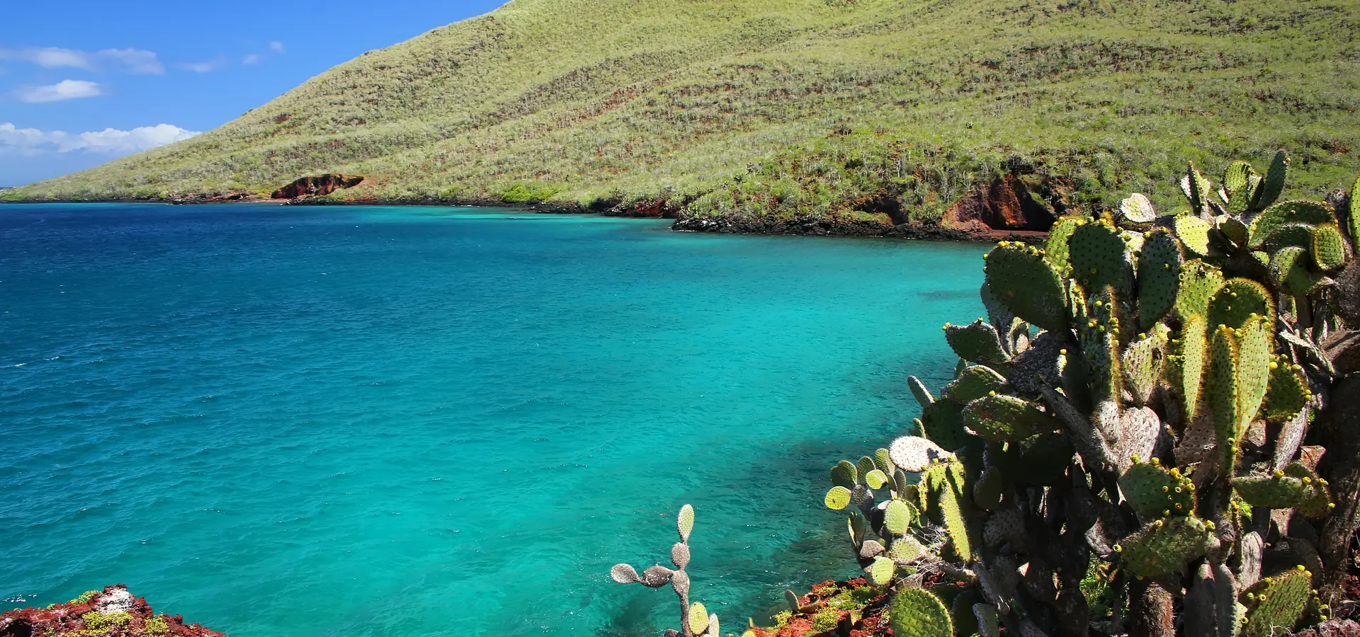 Avila Reizen Ecuador meer