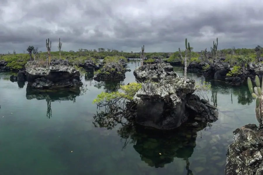 Avila Reizen Galapagos nature 3