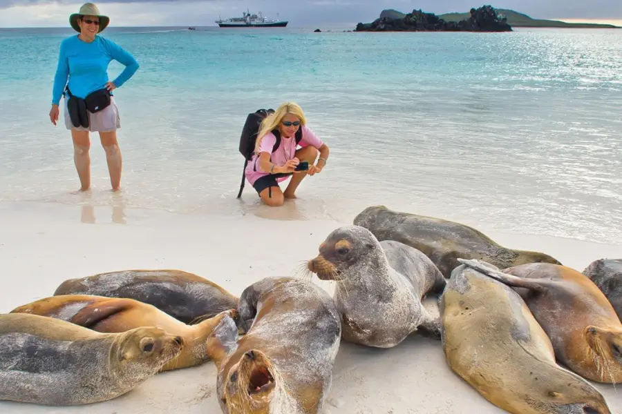 Avila Reizen Galapagos zeehonden National Geographic