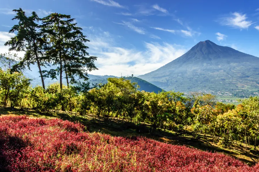 Avila Reizen Guatemala vulkaan