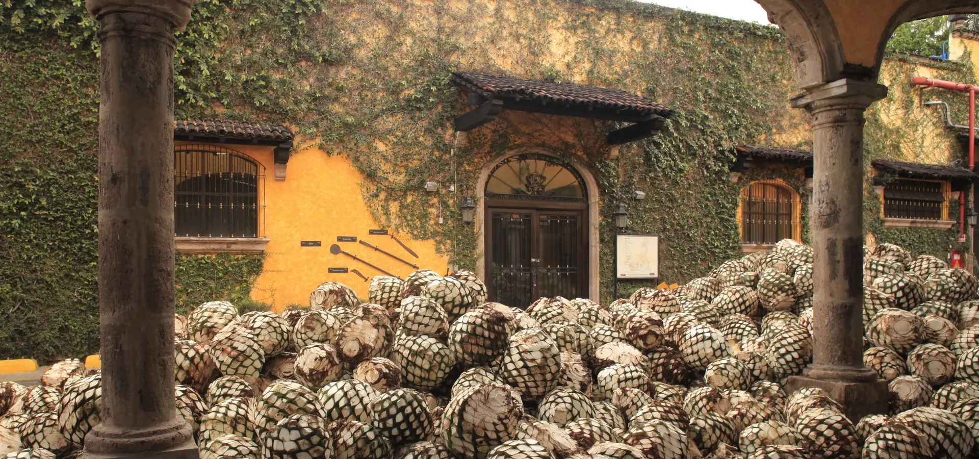 Avila Reizen Mexico Mundo Cuervo La Rojeña tequila experiences MG 8722