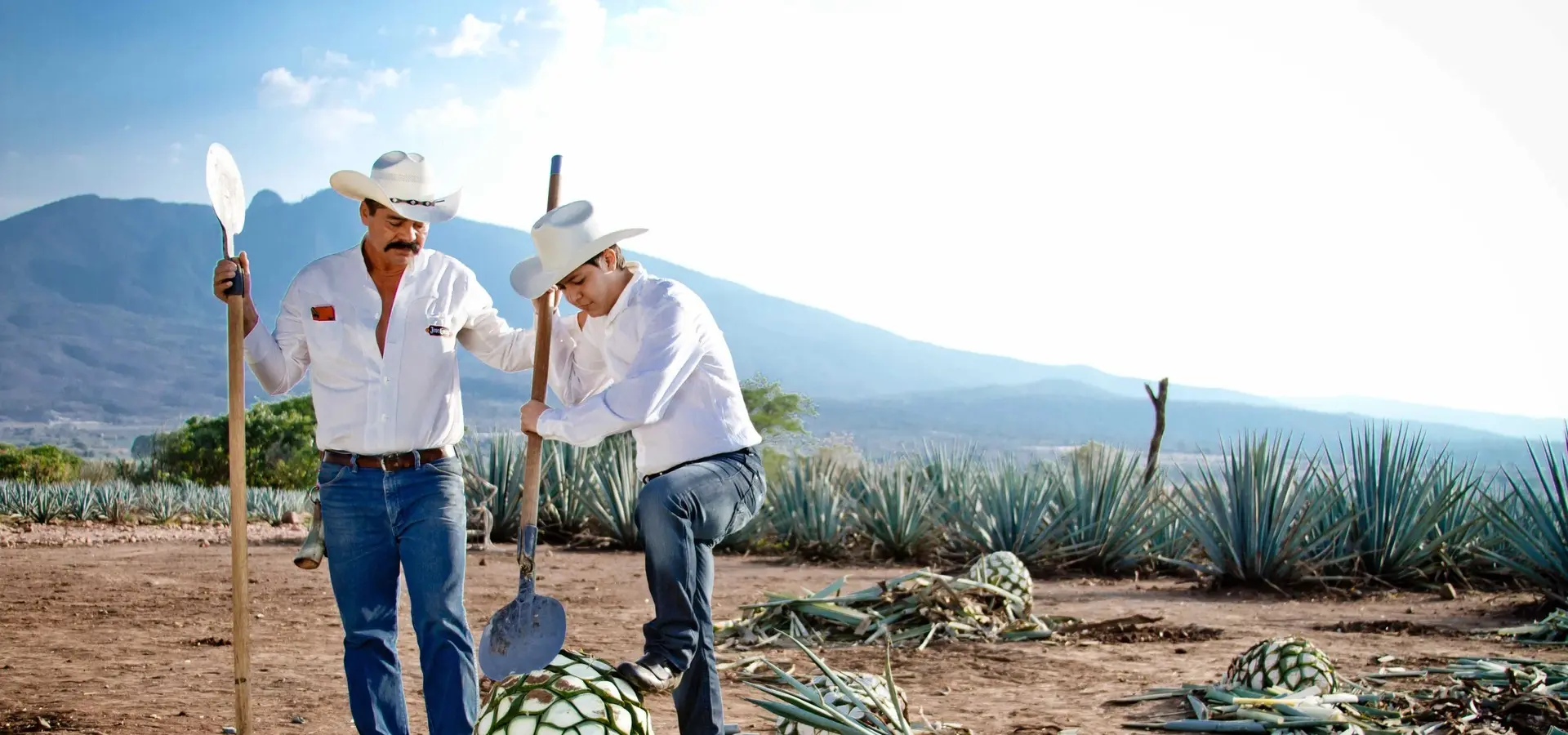 Avila Reizen Mexico Mundo Cuervo La Rojeña Alta jimadores