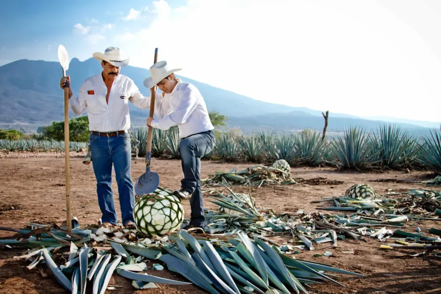 Avila Reizen Mexico Mundo Cuervo La Rojeña Alta jimadores