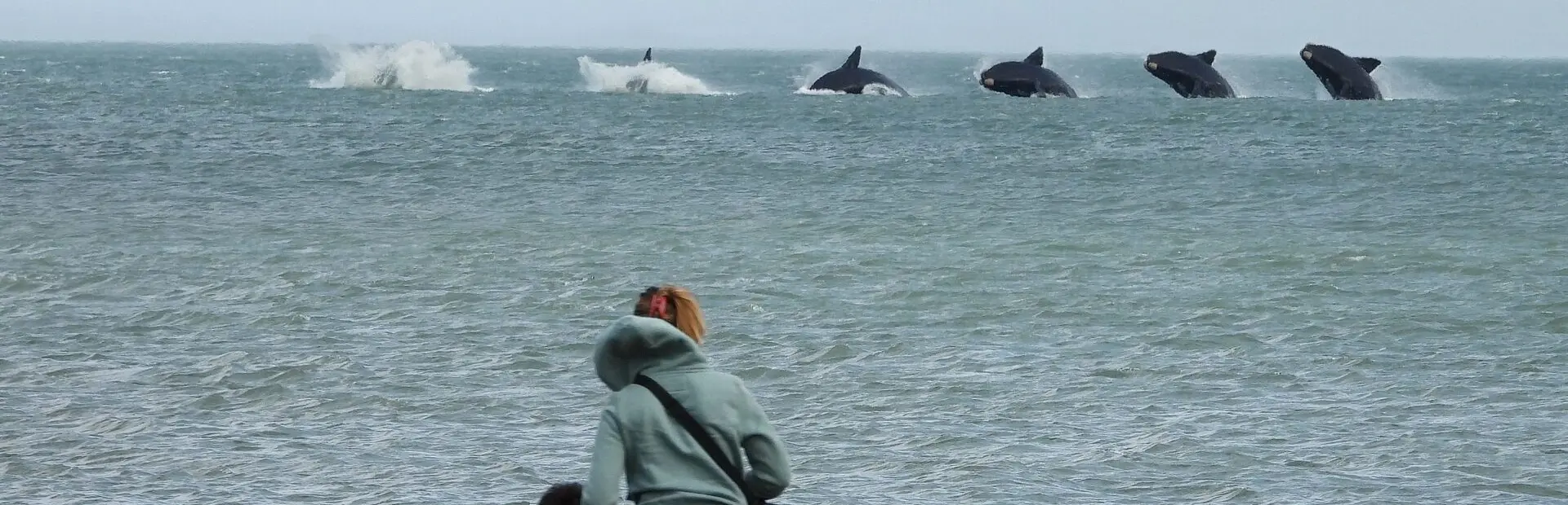 Avila Reizen Uruguay Ballenas Galeria 1 1 4096 3072 max scaled