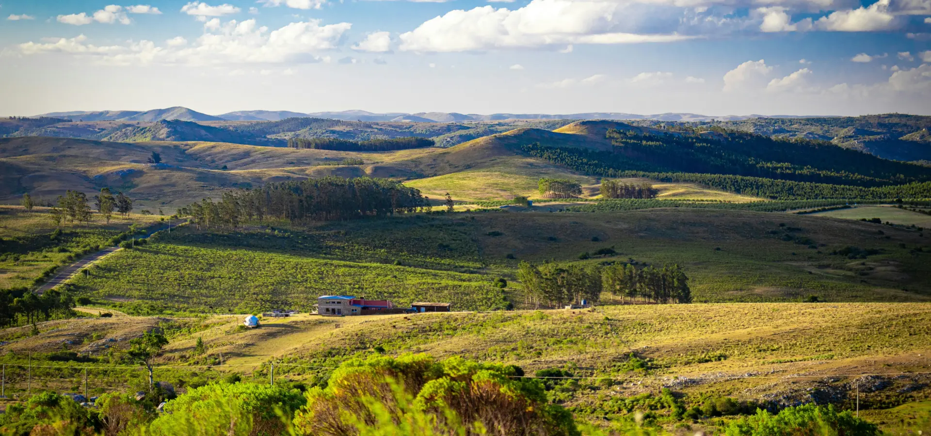 Avila Reizen Uruguay landschap