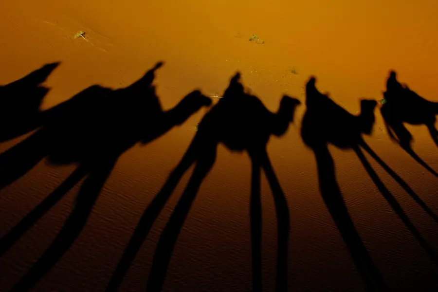 Avila reizen egypte shaduw kamelen