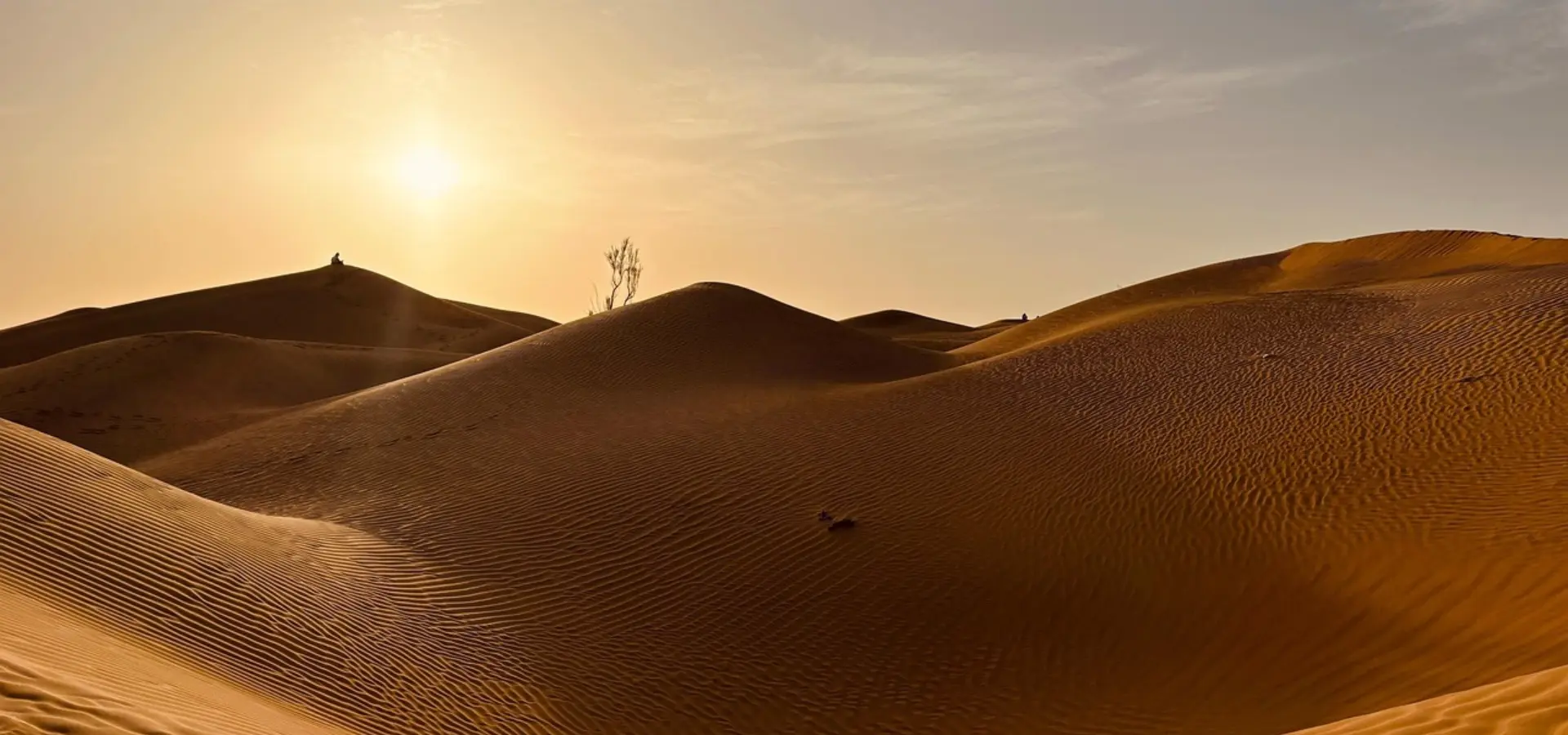 Avila Reizen Oman woestijn