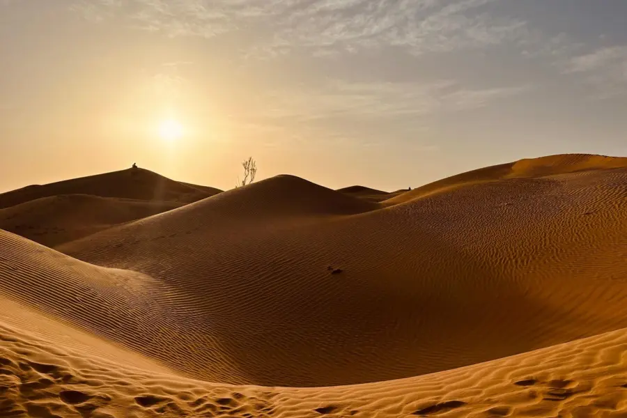 Avila Reizen Oman woestijn