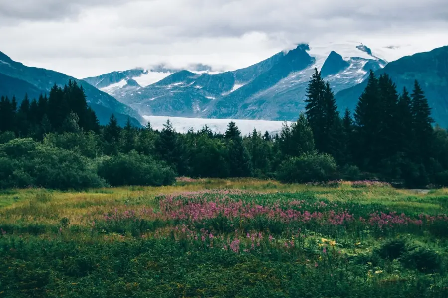 Avila Reizen Alaska gletsjer in Alaska
