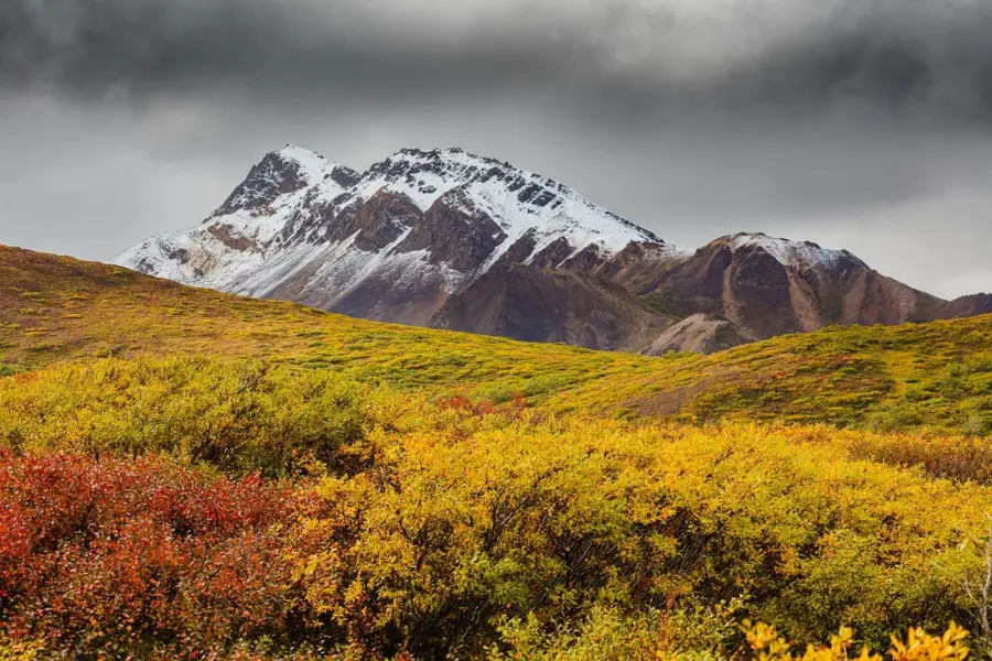 Avila Reizen Alaska berglandschap in de herfst