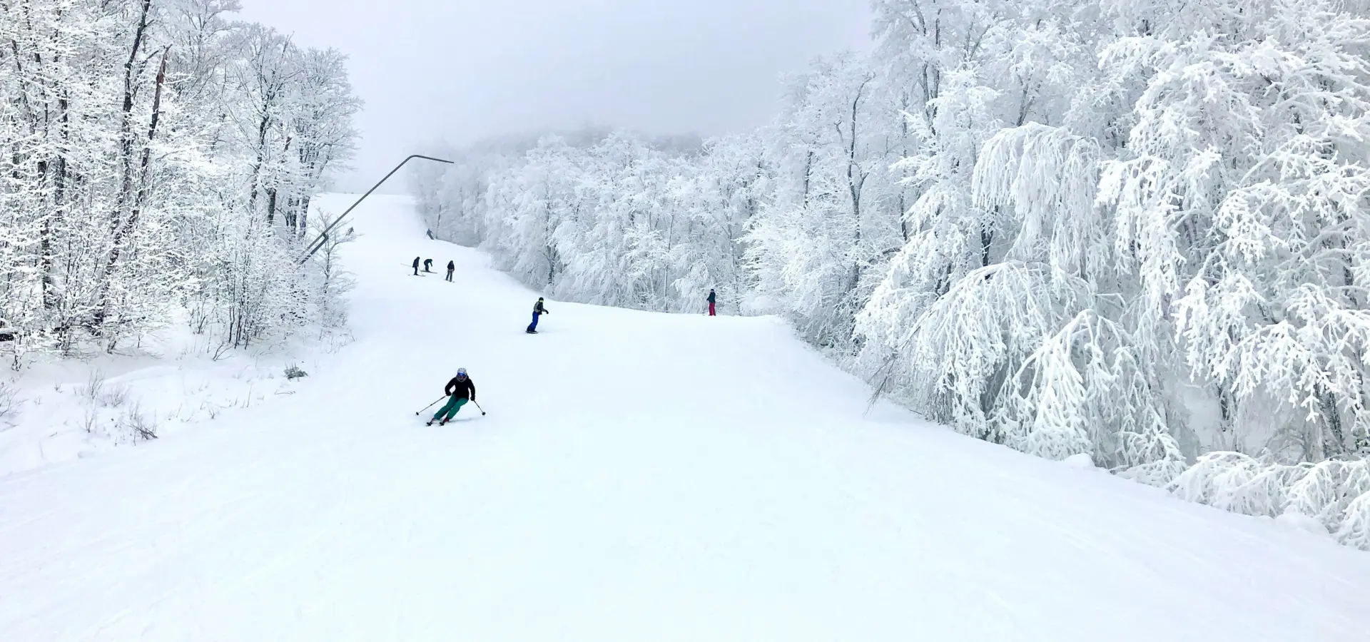 Avila Reizen Canada skiën