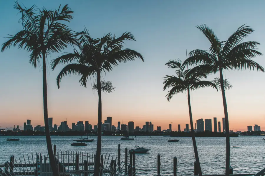 Avila Reizen Amerika Miami skyline met palmbomen