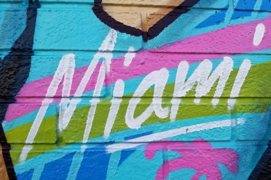 Avila Reizen Amerika Miami Wynwood artscene