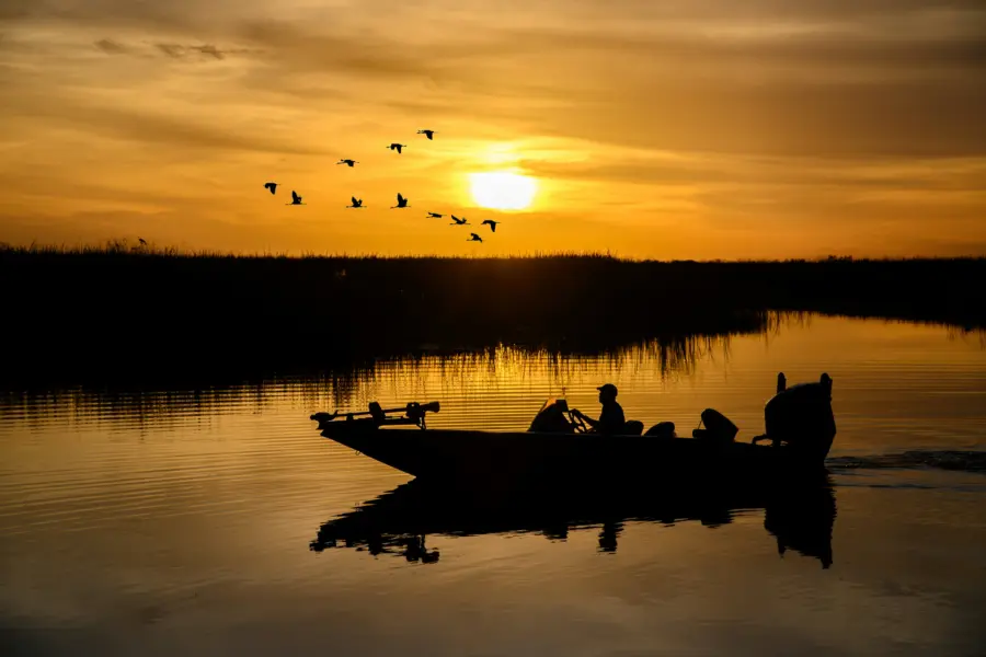 Avila Reizen Amerika Miami Everglades