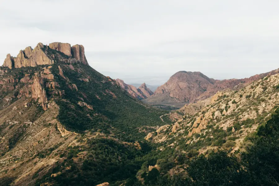 Avila Reizen Amerika Big Bend National Park