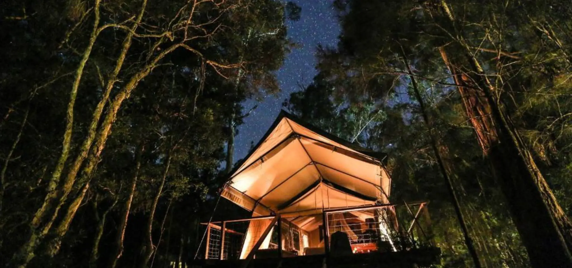 Avila Reizen Paperbark Camp