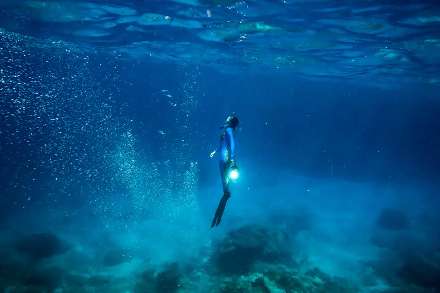Australia experience Lizard Island Reef Expedition Diving