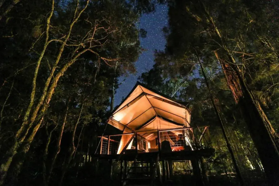 Avila Reizen Paperbark Camp