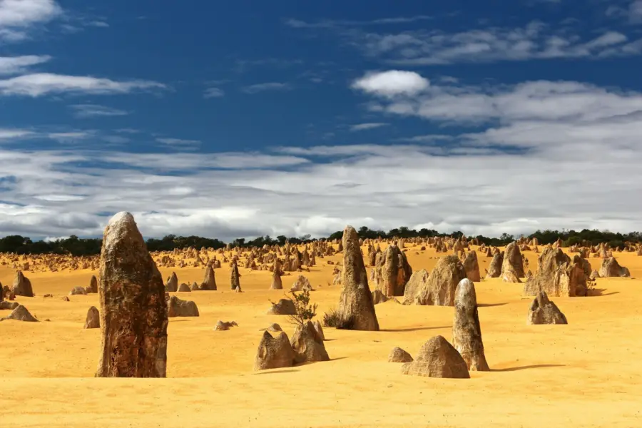 Avila Reizen Australie The Pinnacles Desert Cervantes Australia