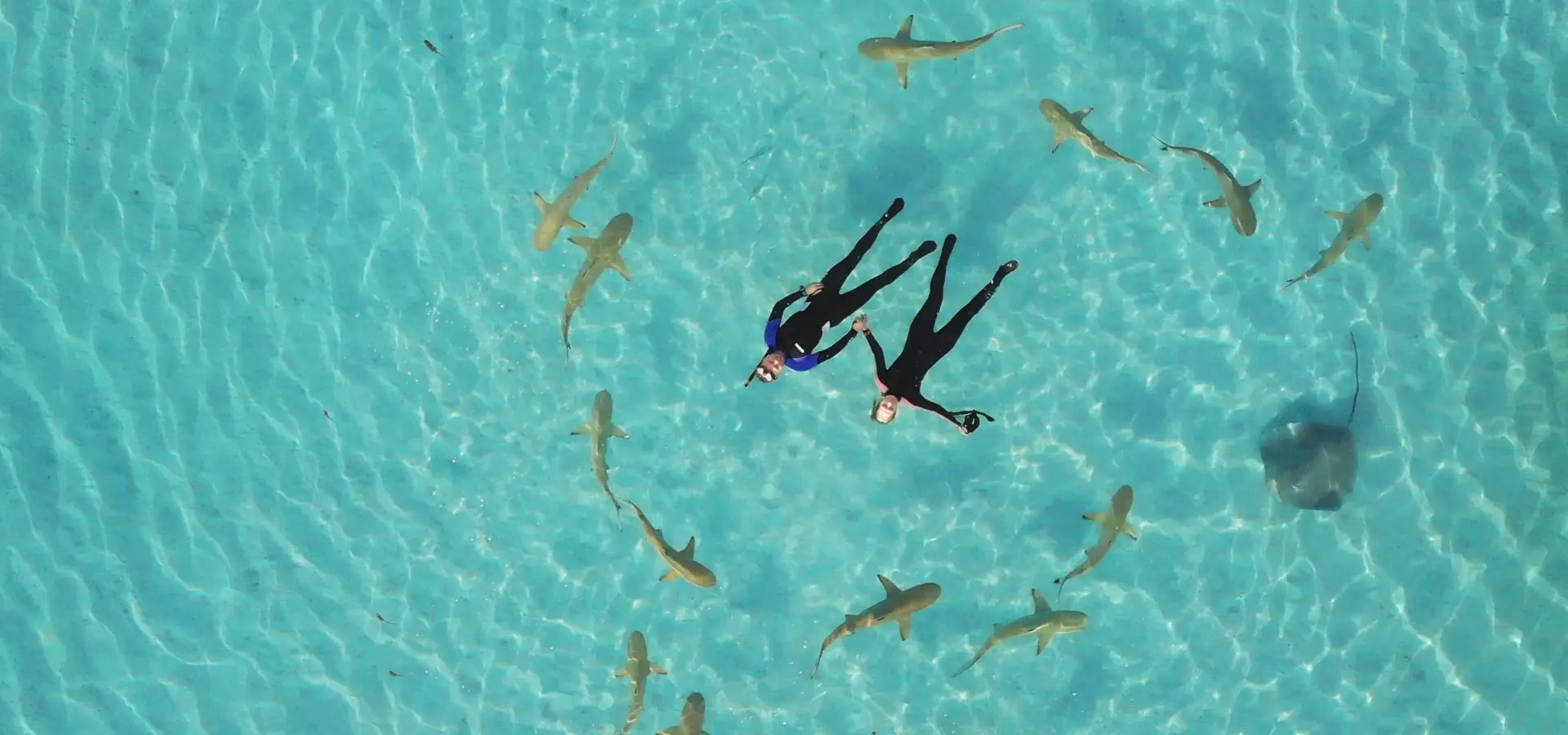 Avila Reizen Frans Polynesië Moorea duiken