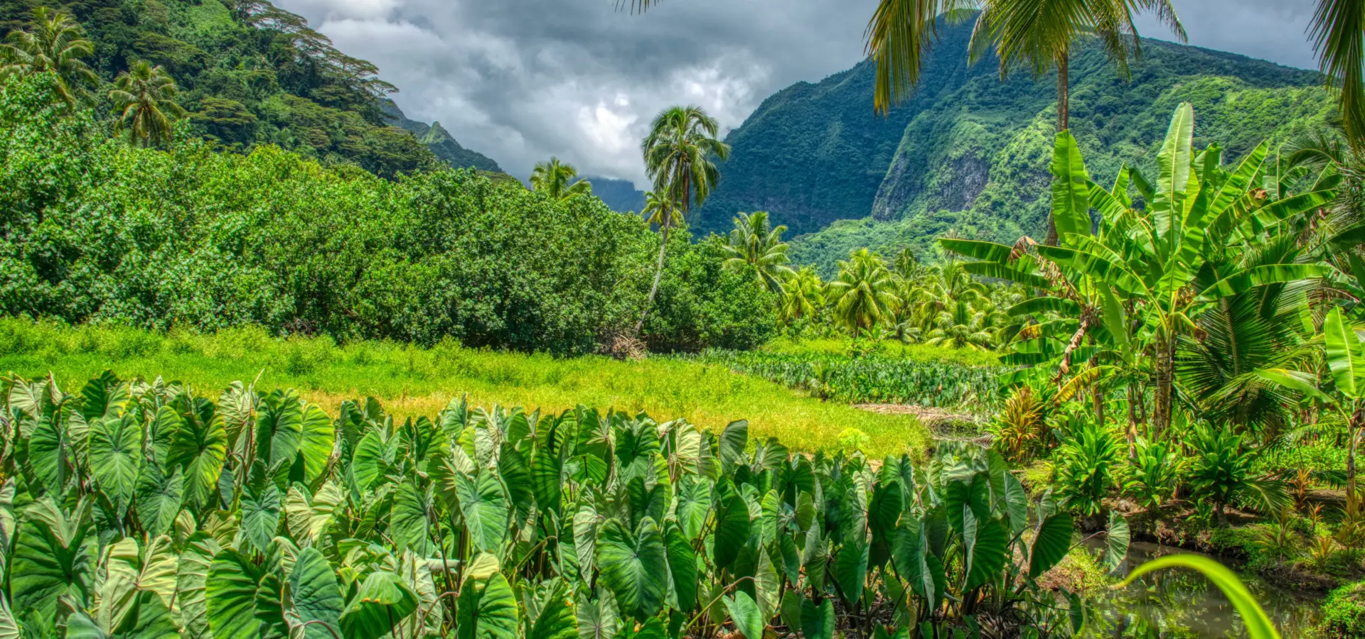 Avila Reizen Frans Polynesië Tahiti groen landschap