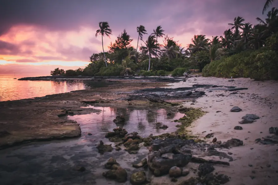 Avila Reizen Frans Polynesië strand met palmbomen zonsondergang