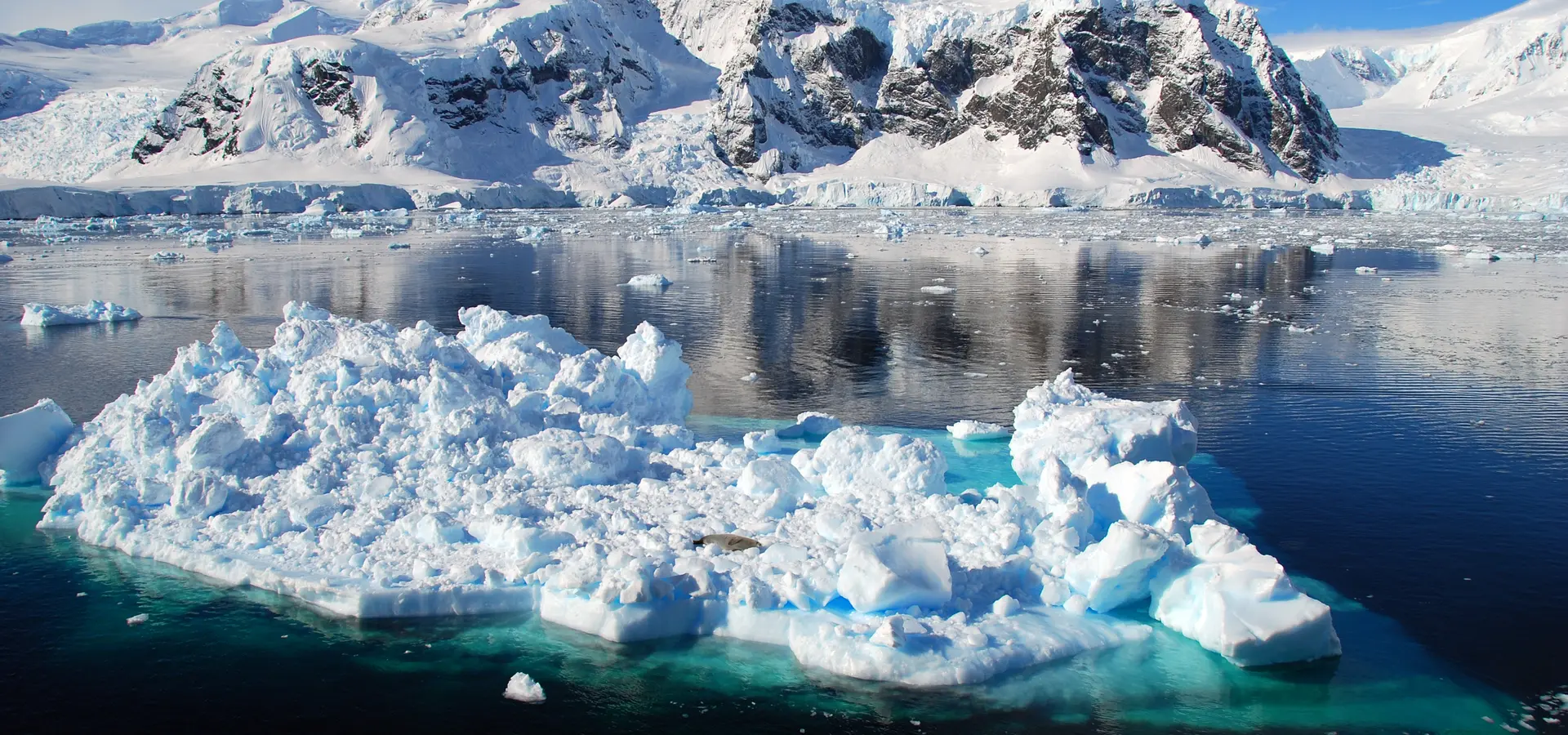 Avila Reizen Antarctica natuur