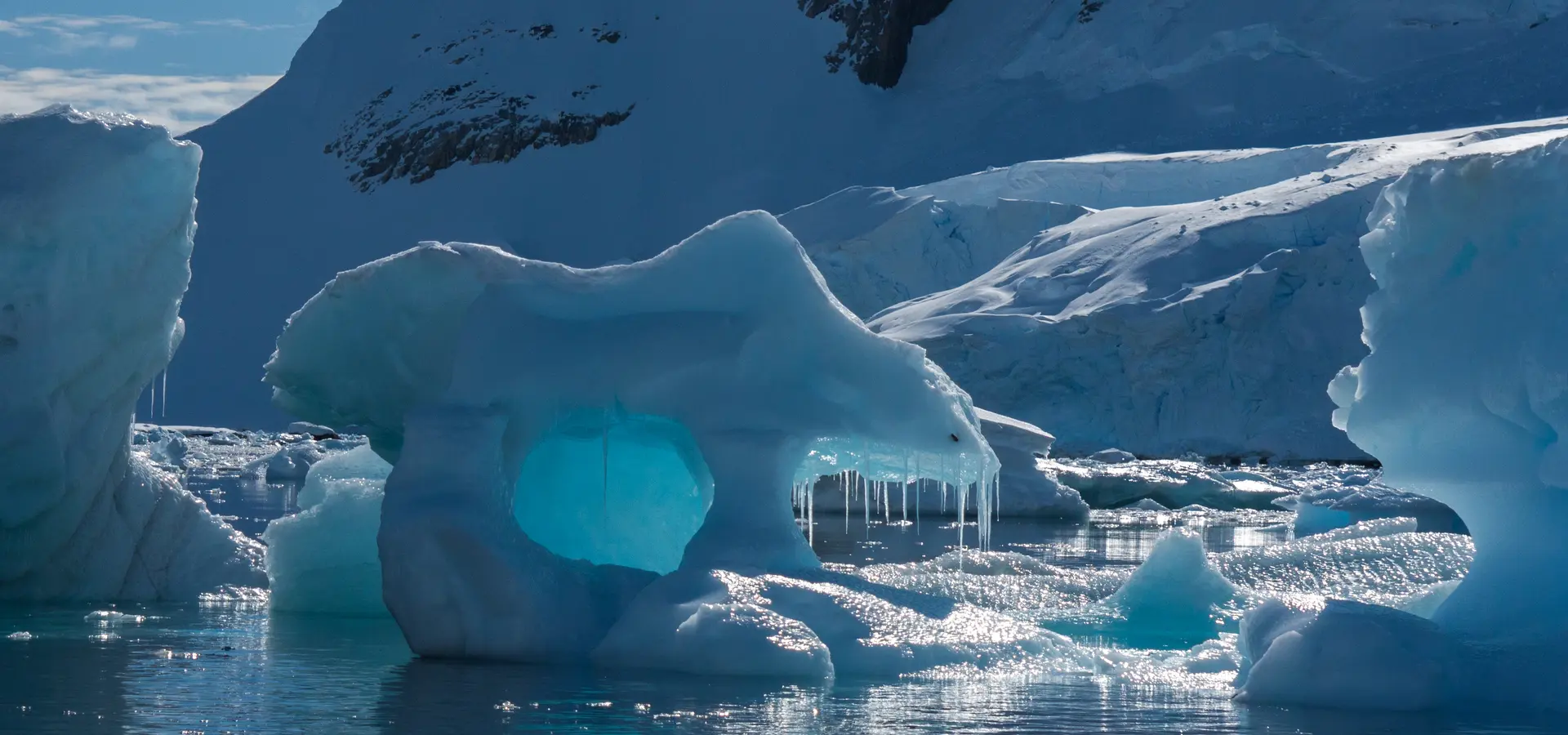 Avila Reizen Antarctica Willem van Eck 11