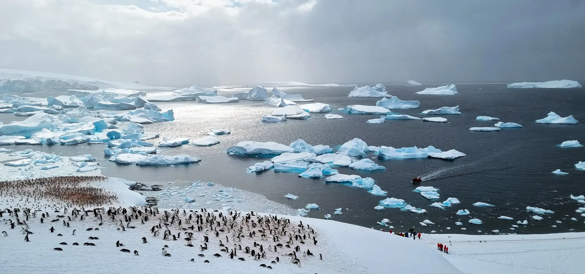 Avila reizen antarctica Ralph 20221118 153126