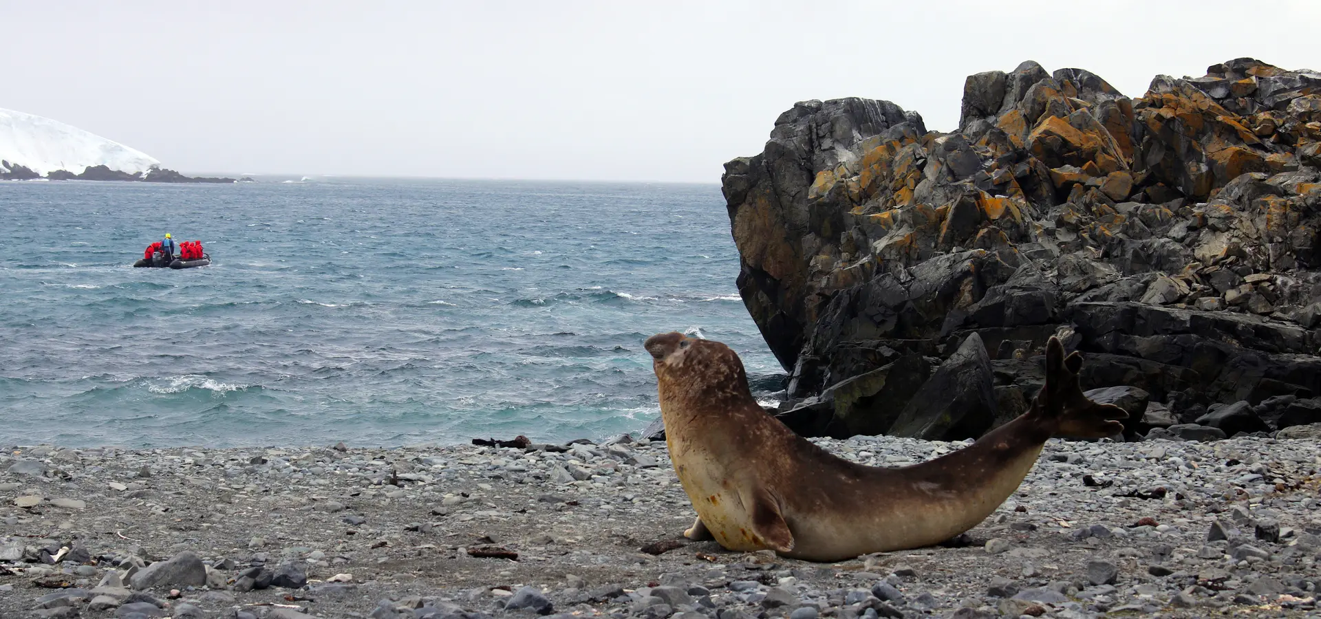 Avila reizen antarctica Ralph IMG 4968