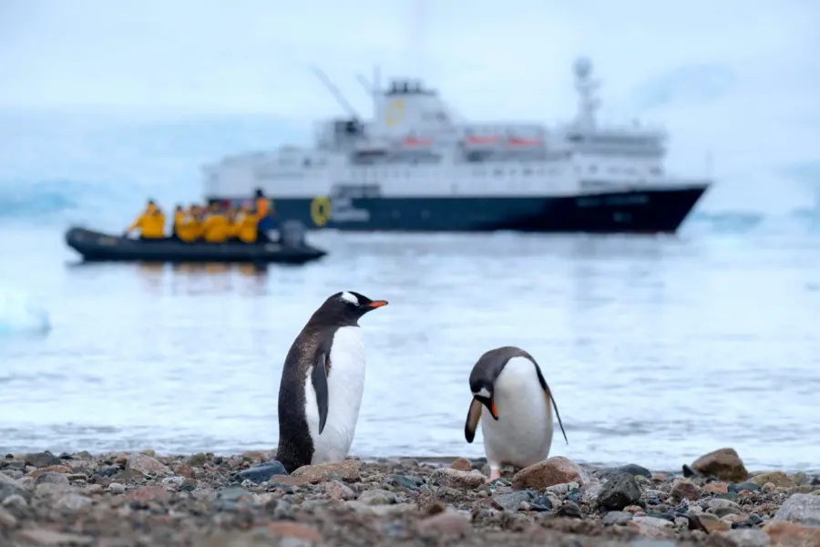 Avila Reizen Antarctica Quark Expeditions pinguïns op land