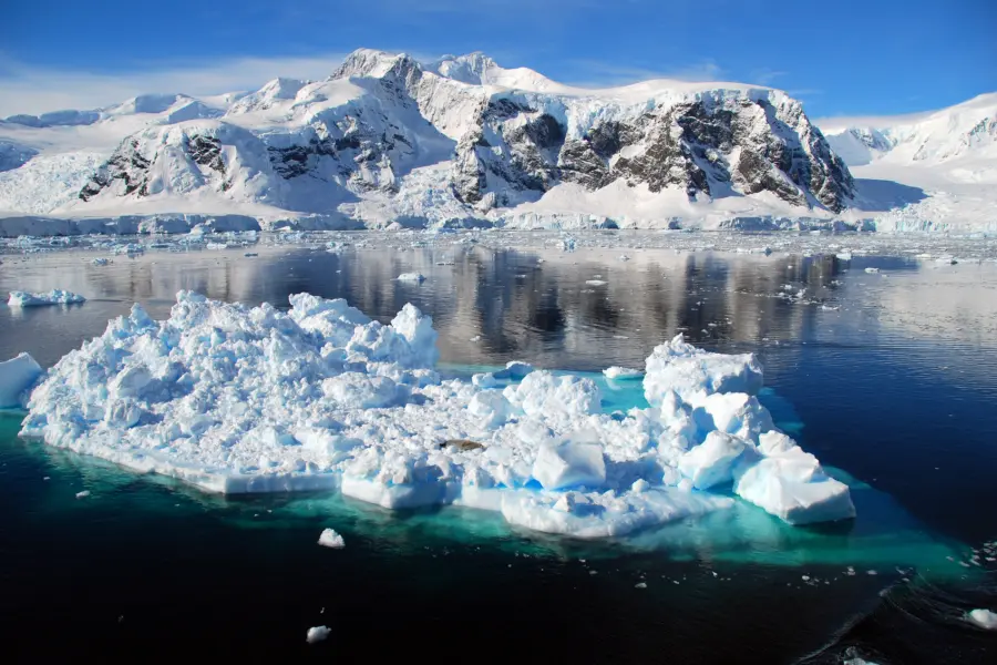 Avila Reizen Antarctica natuur