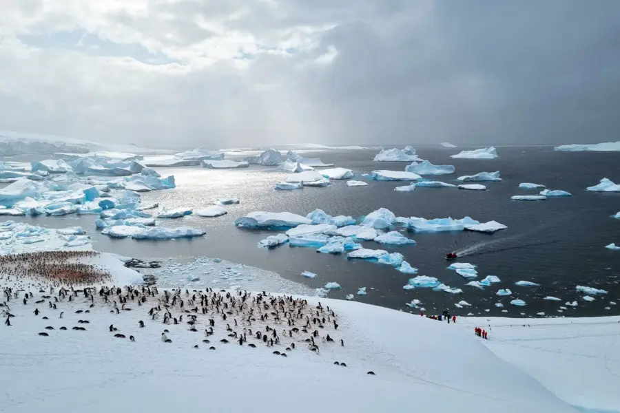 Avila reizen antarctica Ralph 20221118 153126