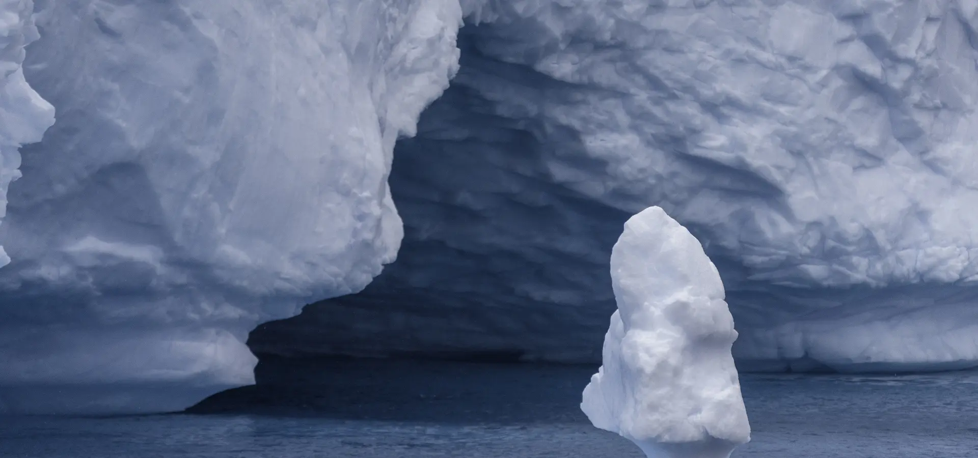 Avila reizen antarctica S Ilversea EV221115006 003
