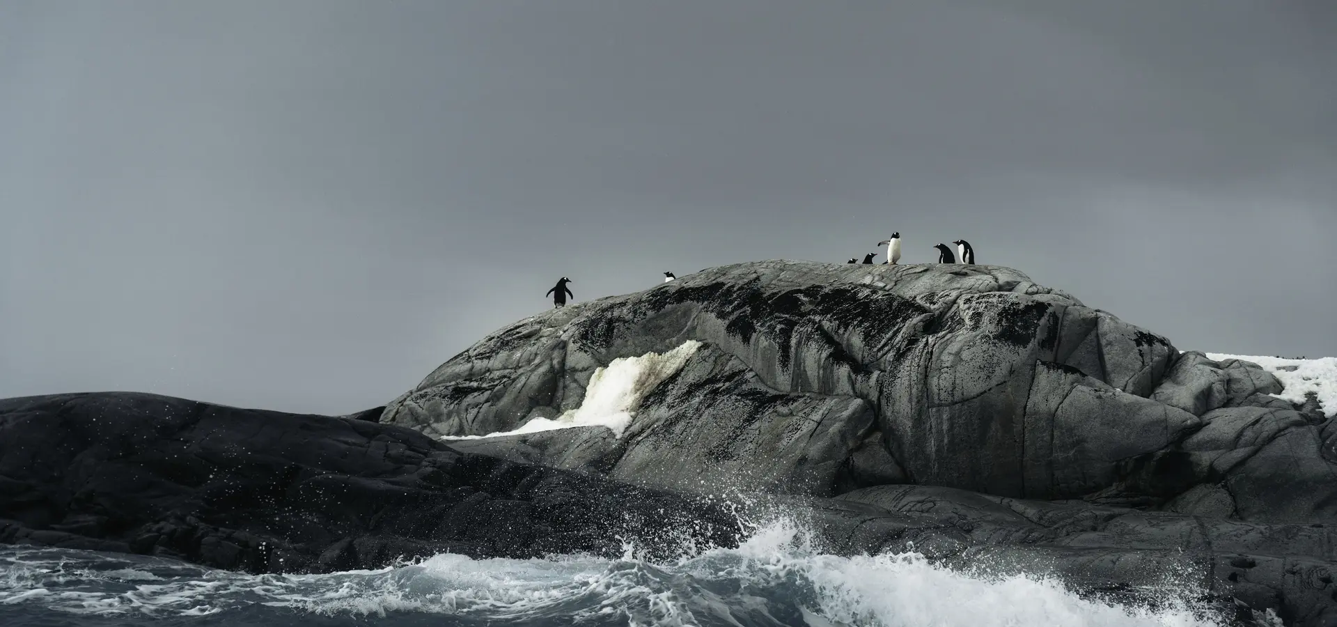 Avila reizen antarctica S Ilversea EV221115006 008