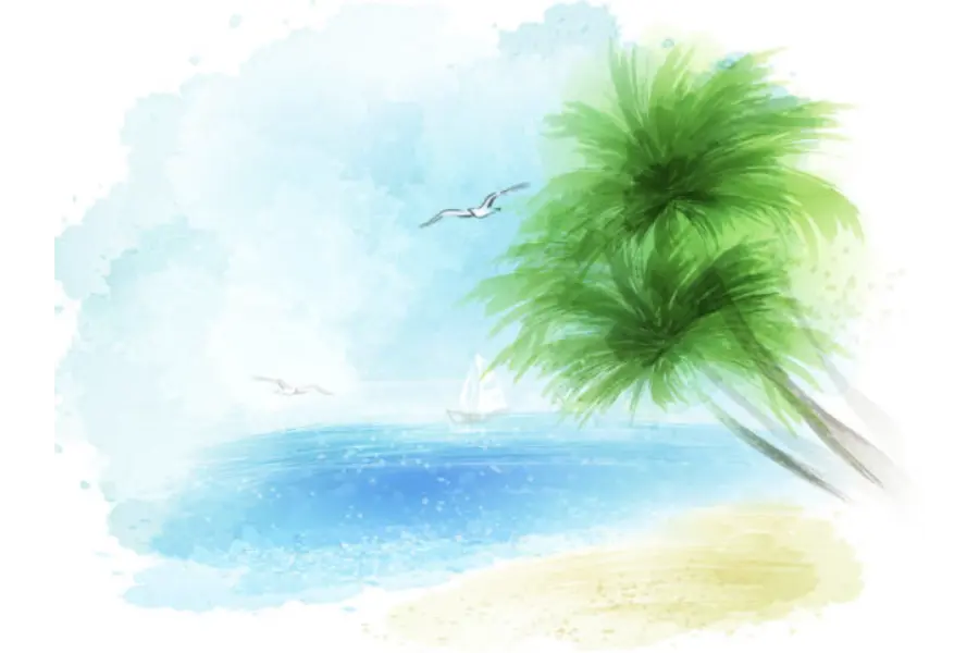Signature illustratie 2