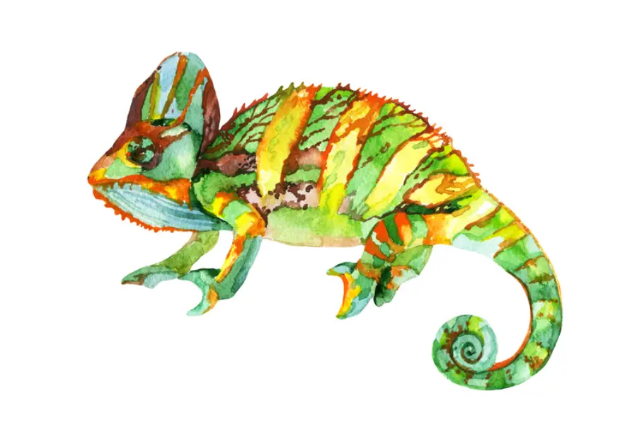 Avila Reizen - Madagaskar illustratie