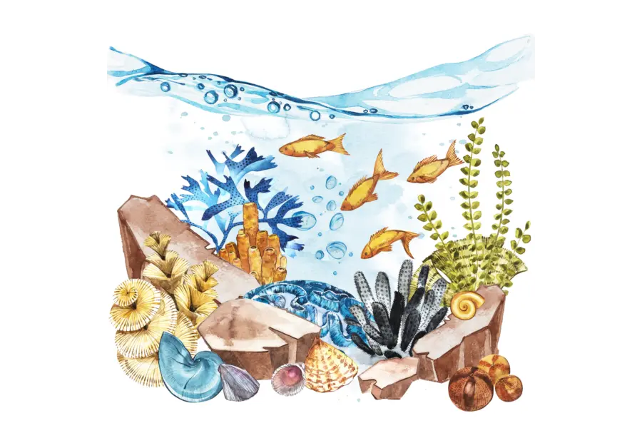 Reizen met impact illustratie