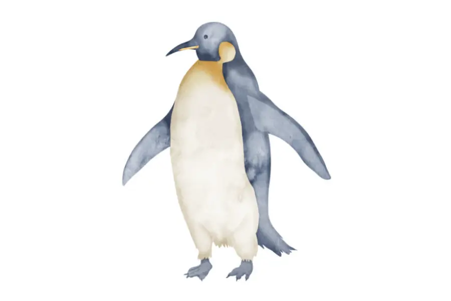 Antarctica1