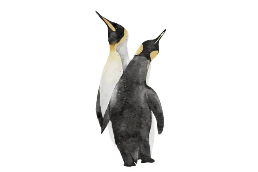 Antarctica2