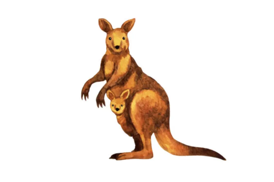 Australie