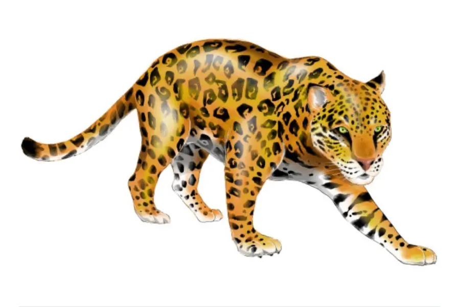 Brasil Illustratie jaguar i Stock