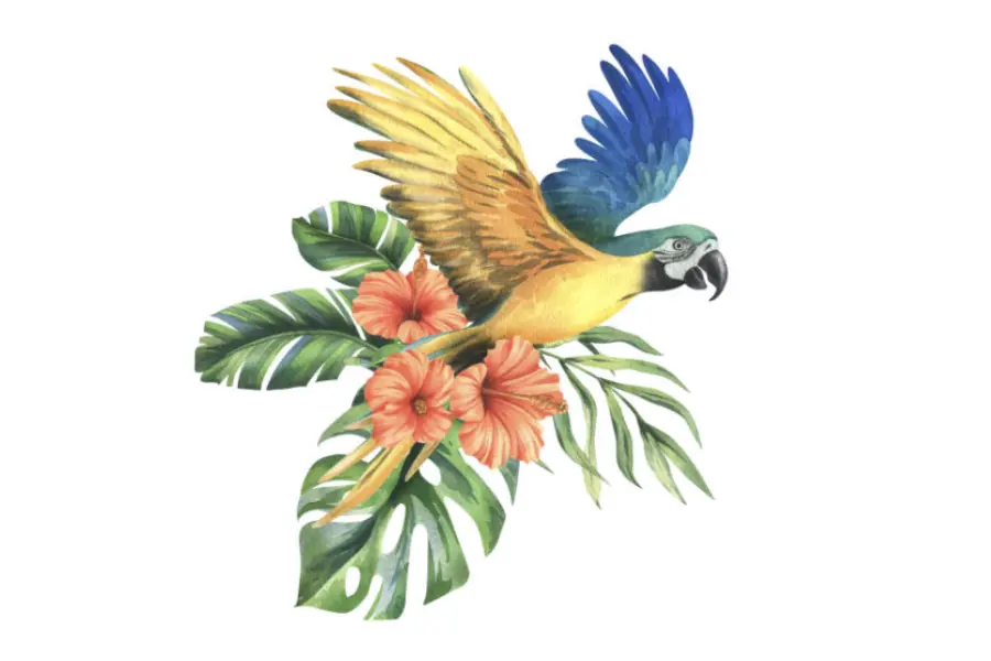 Dominica