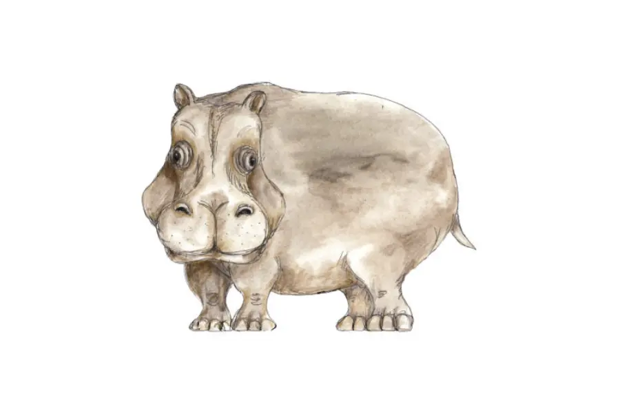 Hippo