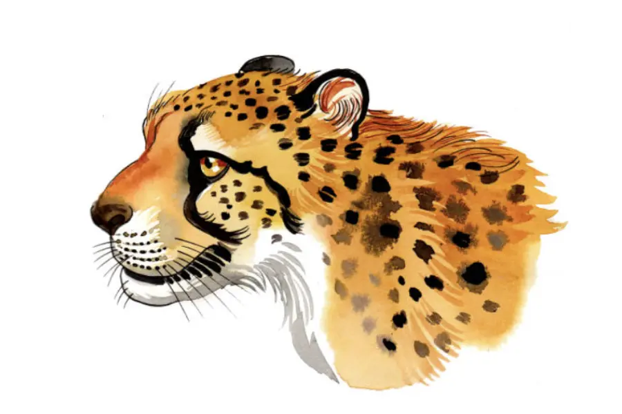 Kenia